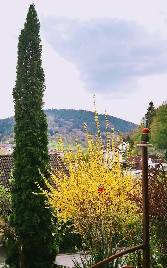 Ferienwohnung Casa La Collina Delle Ginestre Eberbach  Exterior foto