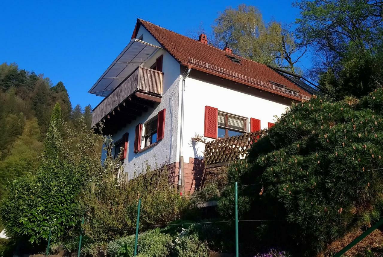 Ferienwohnung Casa La Collina Delle Ginestre Eberbach  Exterior foto